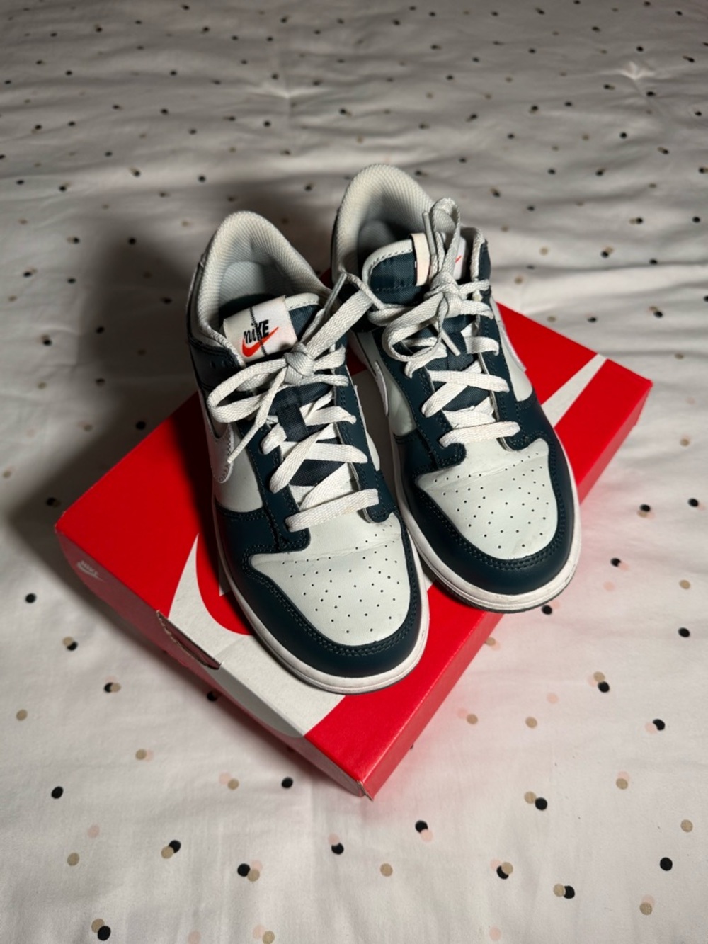 Nike Kids Low Dunk
